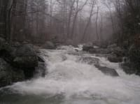 Cushion on the NF of the Tye VA