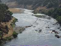 Hidden Kings: 1st rapid