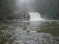 Falls from below
