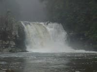 Scouting the Falls