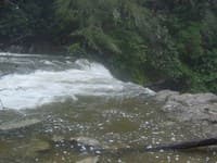 The lip of the Falls