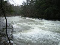 opposite Canoe Hole