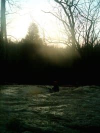 Sunset in the fog