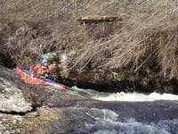 Timber Falls