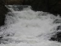 Rae's Creek Waterfall