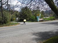 Walking to the River
