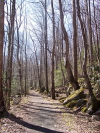 Hike in