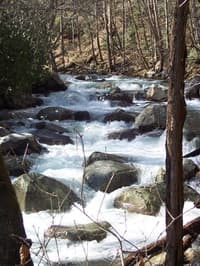 1st rapid below put-in bridge