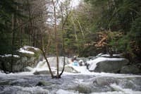 Perfect set-up for the river left line
