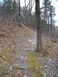 Dragover Trail
