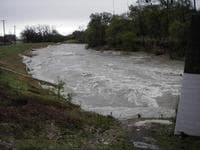 Duck Creek