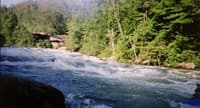 In the trough of the Gorrilla
