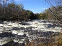 Tannery Rapid