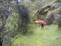 Along the trail