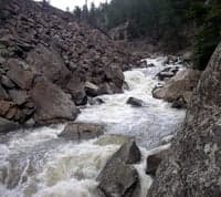 Looking up Trainspotting Rapid