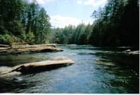 Approaching Big Shoals