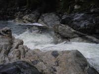 The first rapid above the put-in