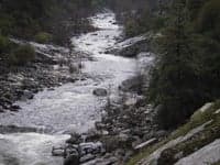 Tricky Rapid