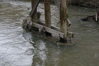 Bridge close-up