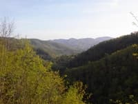 Nice view