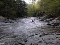 1st rapid