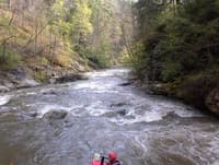below 1st rapid