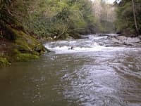 James Locke swimming