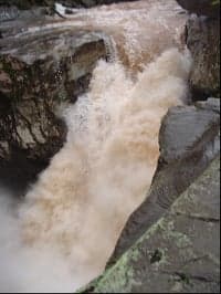 Fawn's Leap