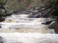 Upstream View of Triple Drop