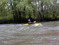 Surfin west knox