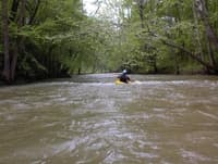 Mr Bizzle, team upstream