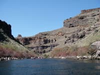 Canyon on the Deschutes