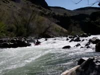 Rapid on the Deschutes