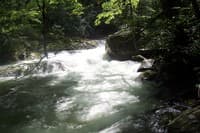 Upper Big Creek