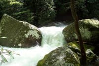 Upper Big Creek