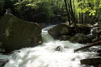 Upper Big Creek