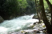 Upper Big Creek