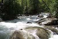 Upper Big Creek