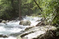 Upper Big Creek
