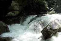 Upper Big Creek