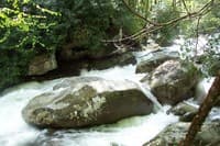 Upper Big Creek