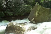 Upper Big Creek