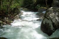 Upper Big Creek