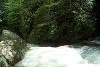 Upper Big Creek