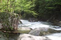 Upper Big Creek