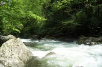 Upper Big Creek