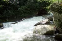 Upper Big Creek