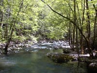 Looking down from the upper bridge
