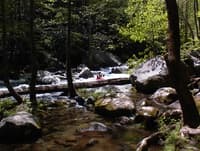 Big Creek is so beautiful