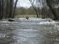 Weirs